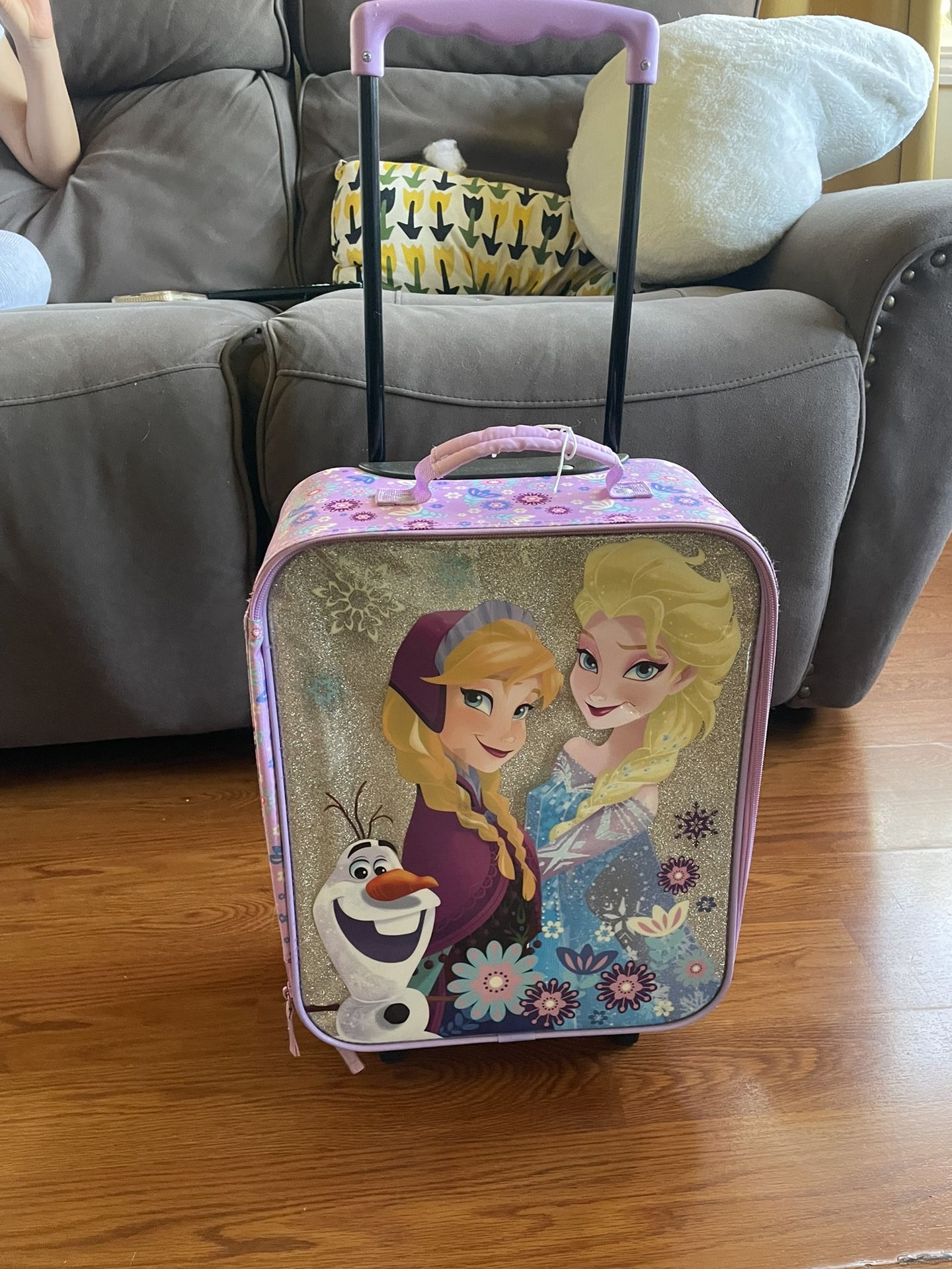 Frozen traveling case