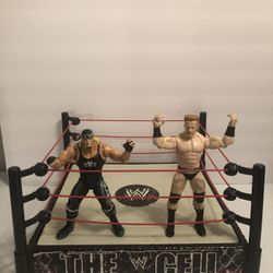 WWE HELL IN A CELL WRESTLING RING (MATTEL) with NWO Hulk Hogan & Sheamus figures