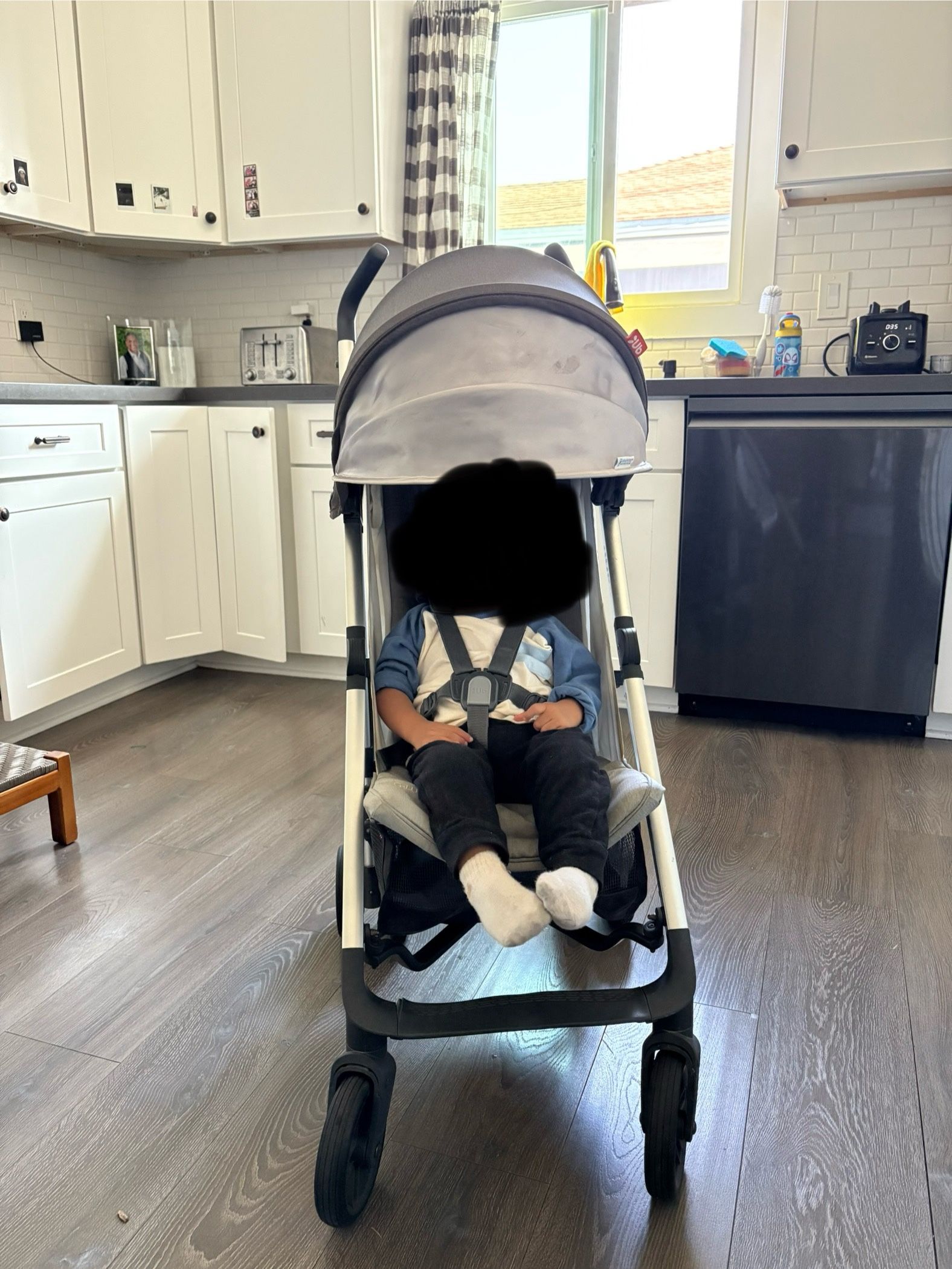 UPPAbaby G -luxe Stroller