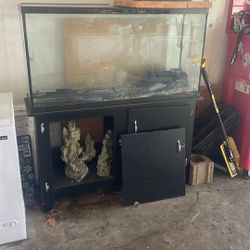 Fish Tank