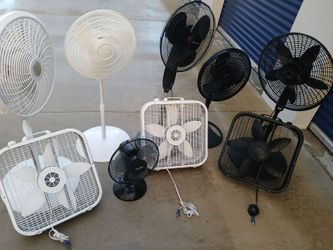 Fans