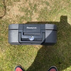 Sentry Safe Lock Box