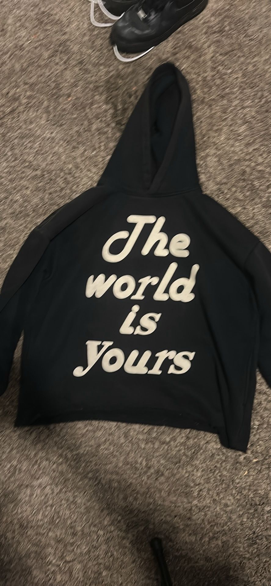 Millii Merch “the World Is Yours” Hoodie