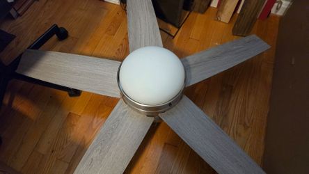 5 blade ceiling fan with light