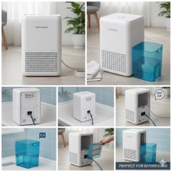 End The Threat Of Deadly Mold In Your Home With A Dehumidifier/air Pureifier