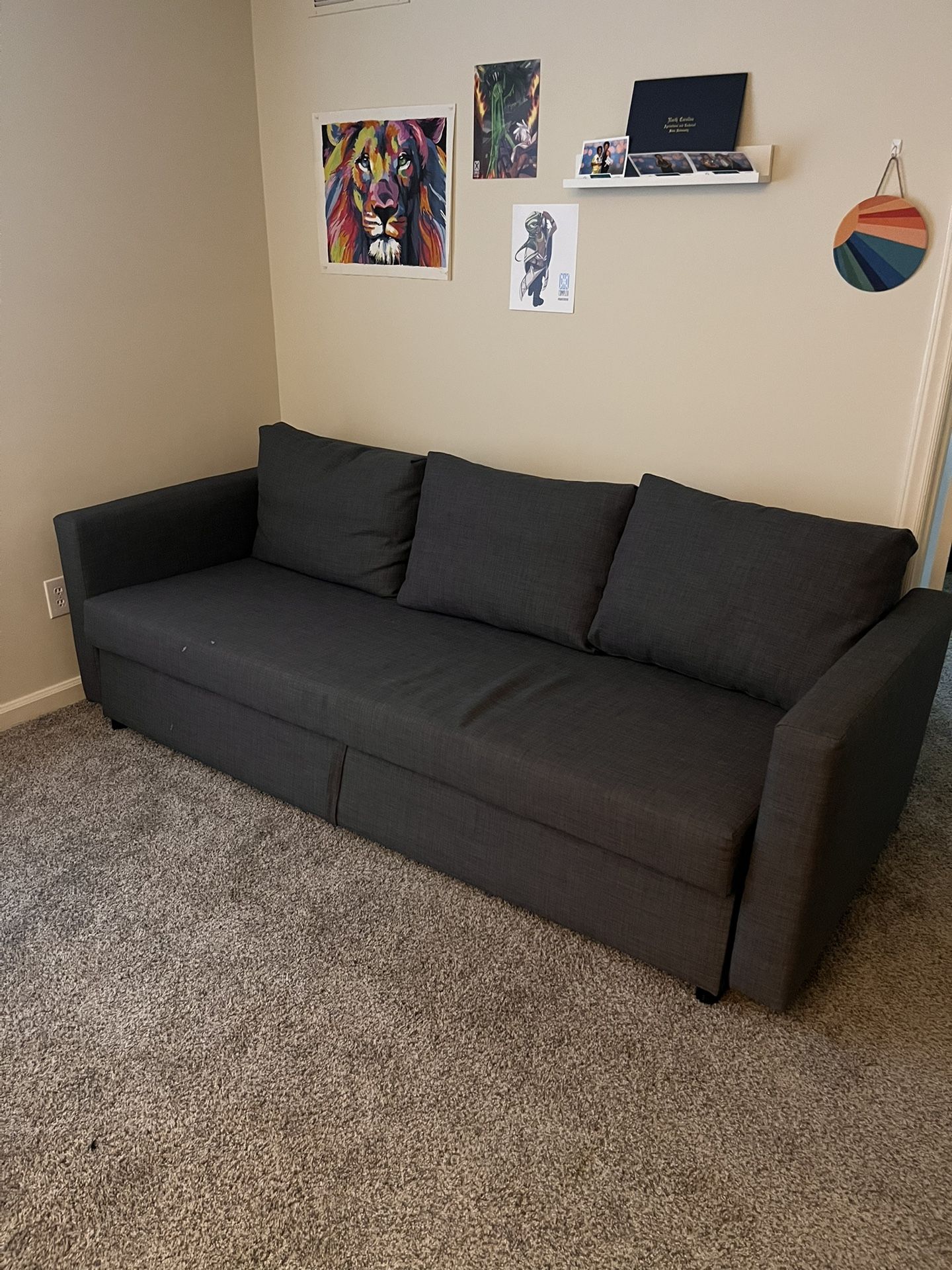 Sleeper Sofa