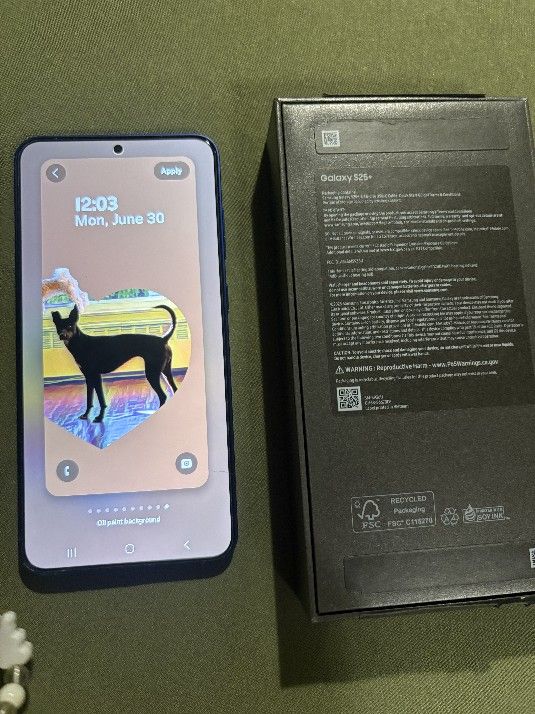 Samsung Galaxy S25 Plus