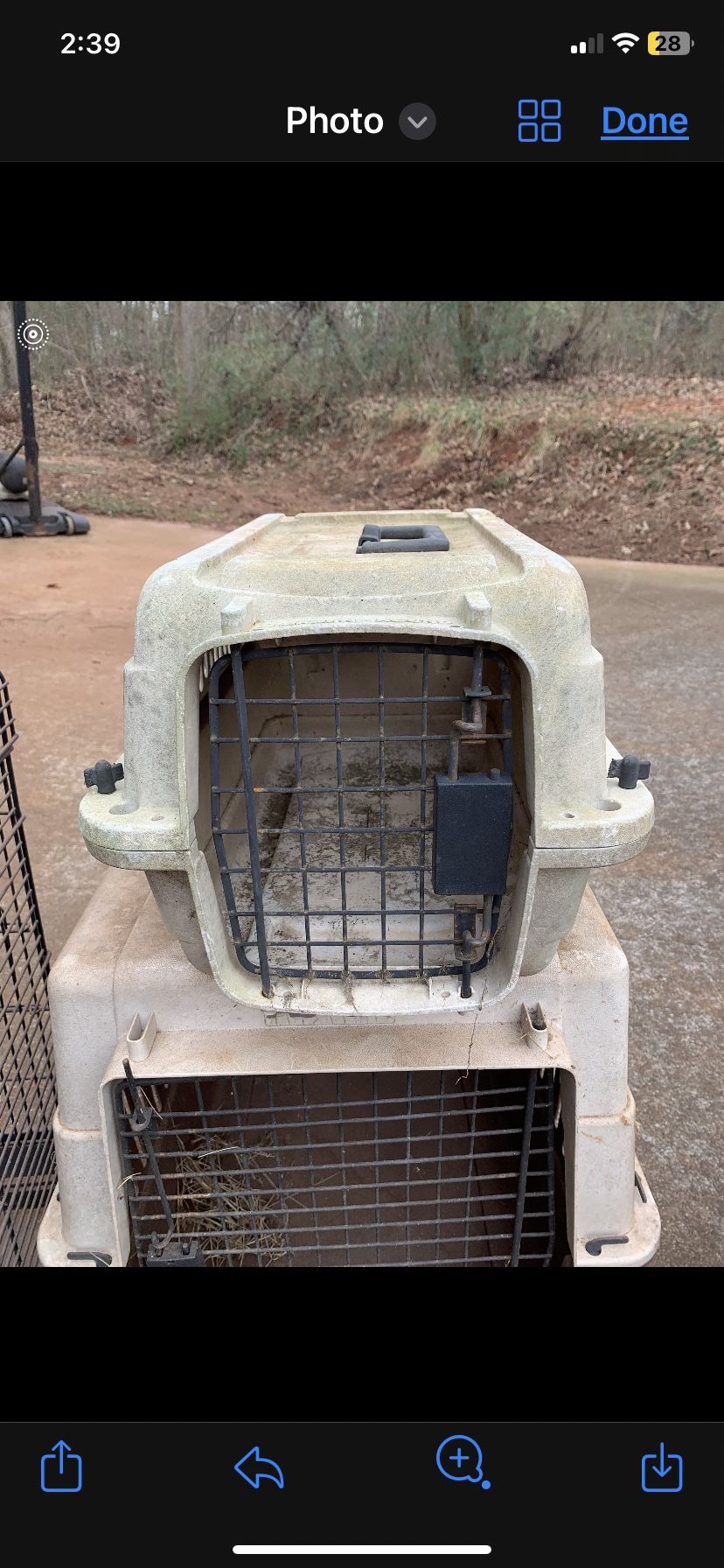 Cat Carrier