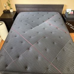Black Beauty Rest Mattress
