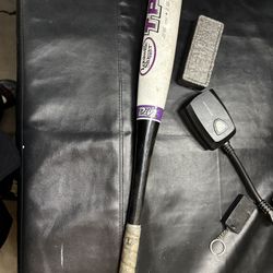 Softball Bat And Glove