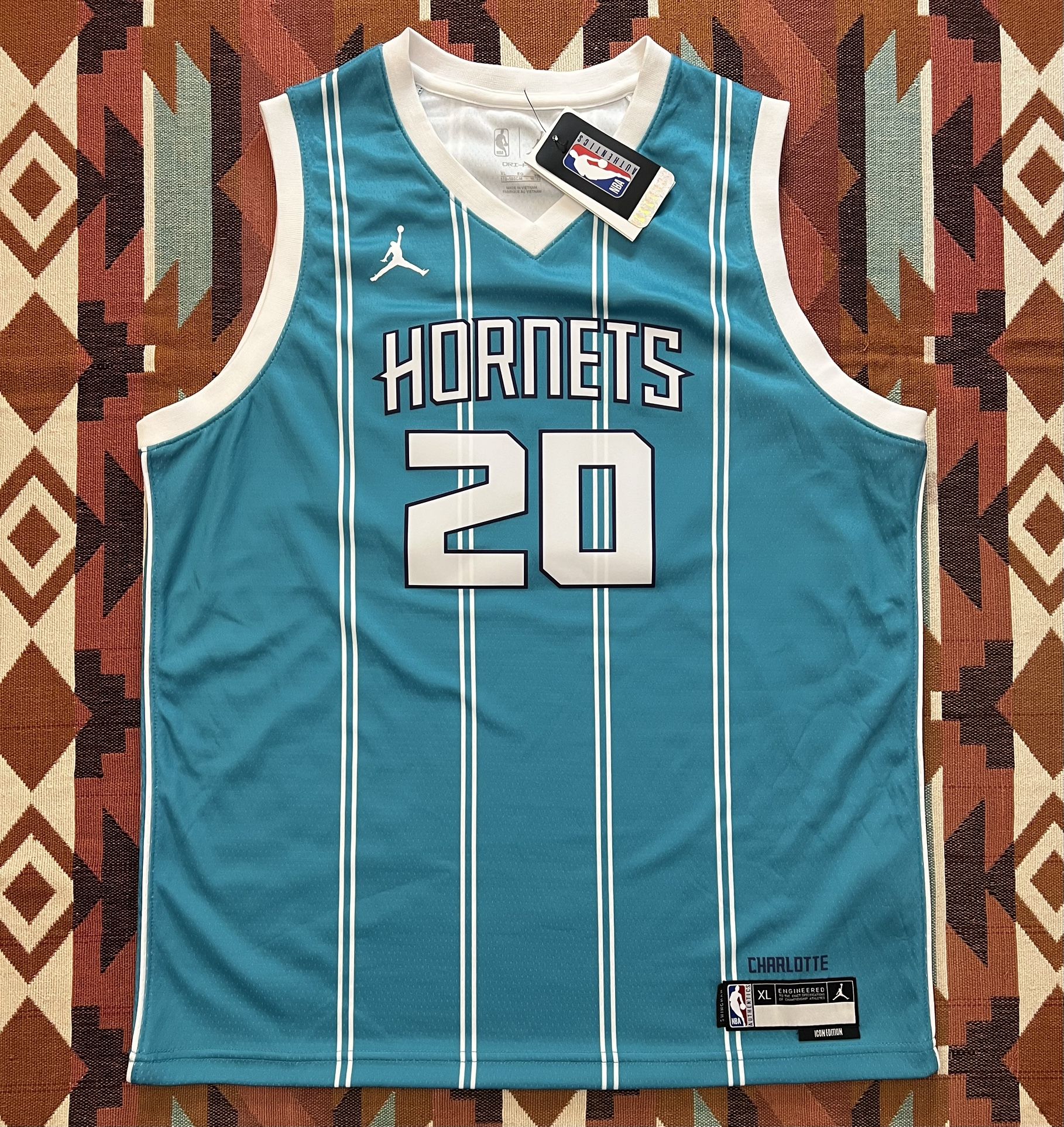 NBA Nike Dri-Fit Jordan Charlotte Hornets Gordon Hayward#20 Kids/Youth Jersey XL