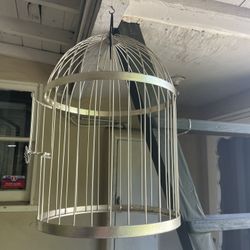 Bird Cage Decor