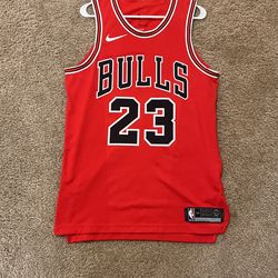 Nike Premium Jordan Bulls Jersey 