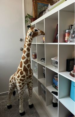 Giant life size Giraffe