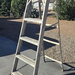 6 ft. Aluminum Ladder