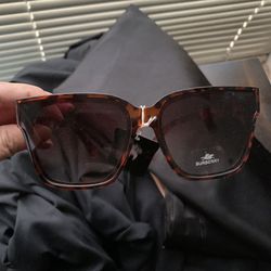 BB Sunglasses 