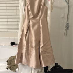 Formal Dress  Adriana Papella Worn Once 