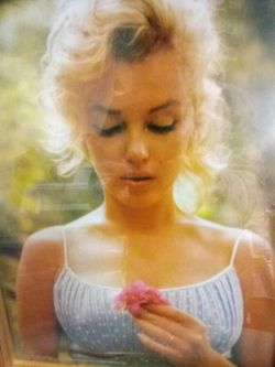 8 x 10 Marilyn Monroe