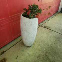 Flower Pot With Flower