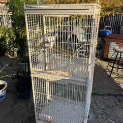 Bird Cage 