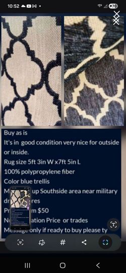 Indoor And Outdoor Rug $50