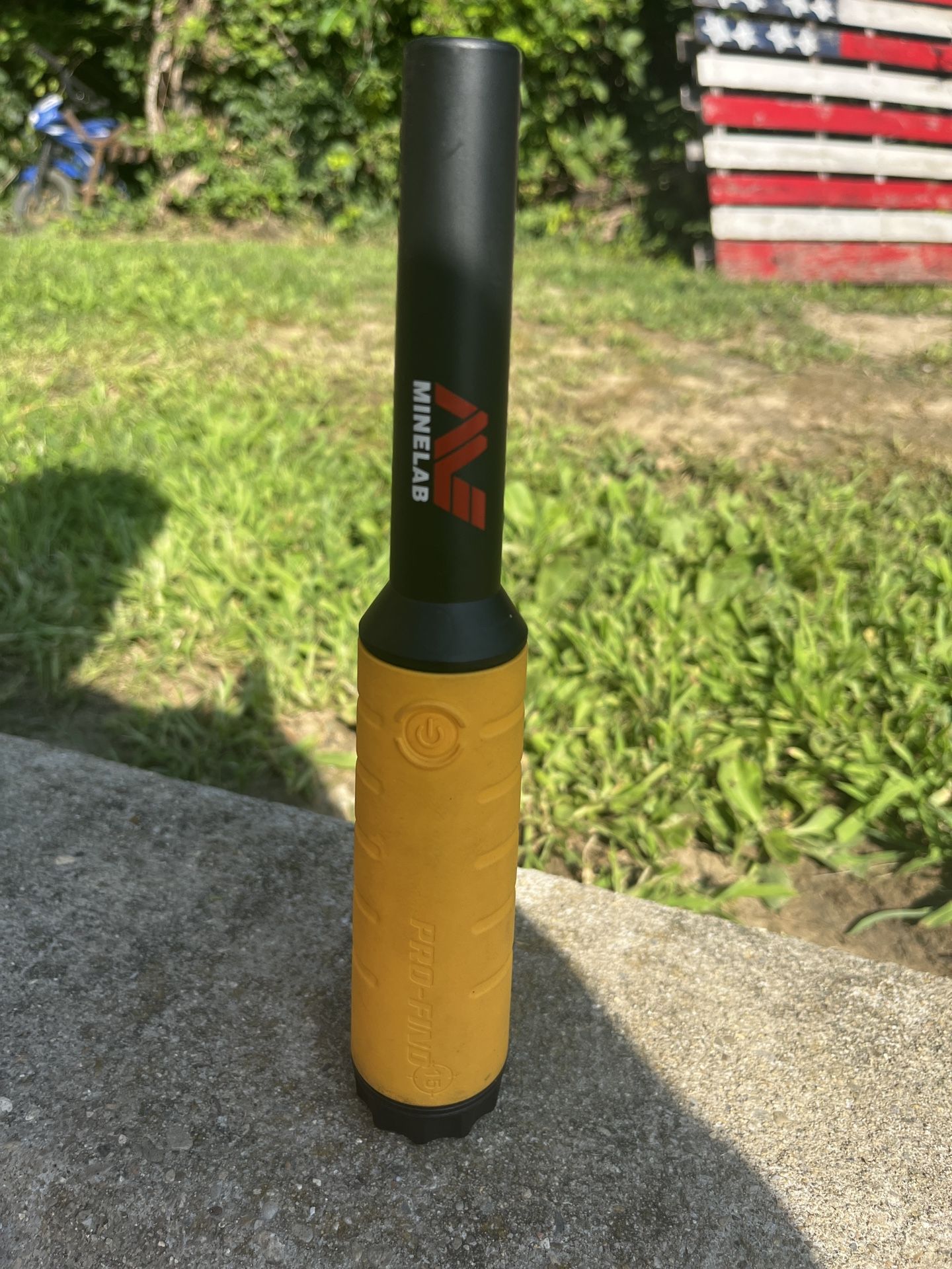 Minelab PRO15