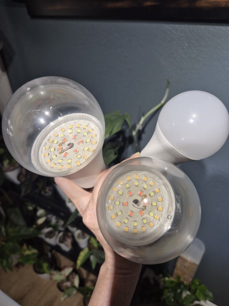 Grow Light Bulbs For Plants