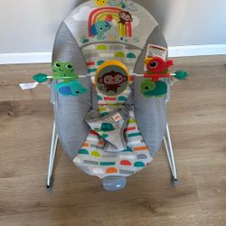Baby Bouncer 