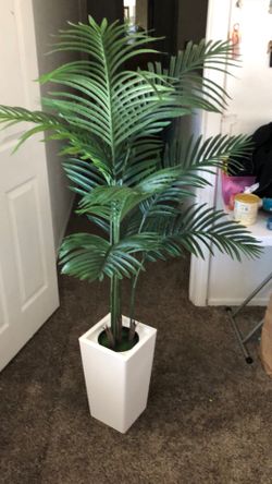 5 foot Artificial Indoor Plant
