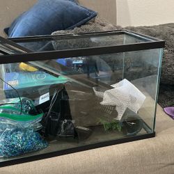 20gl Fish Tank W Everything Needed