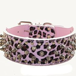XL Dog Spike Collar Brand New