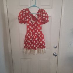 Minnie Mouse Adult Costume