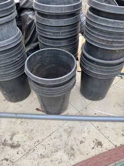Maceteros de 15 galones a 2 dolares