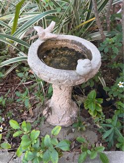 Bird bath cute