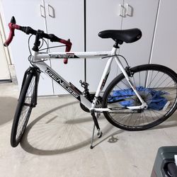 Genisis Saber Road Bike 54 Frame 