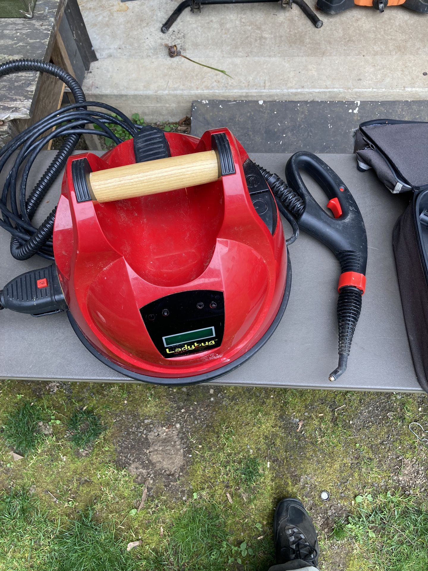 Ladybug Steam Cleaner