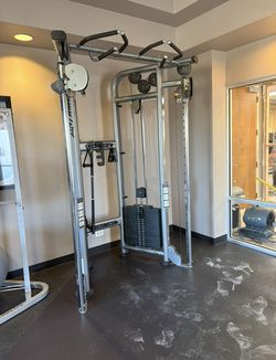 Life Fitness Dual Adjustable Cable