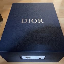 Dior B22