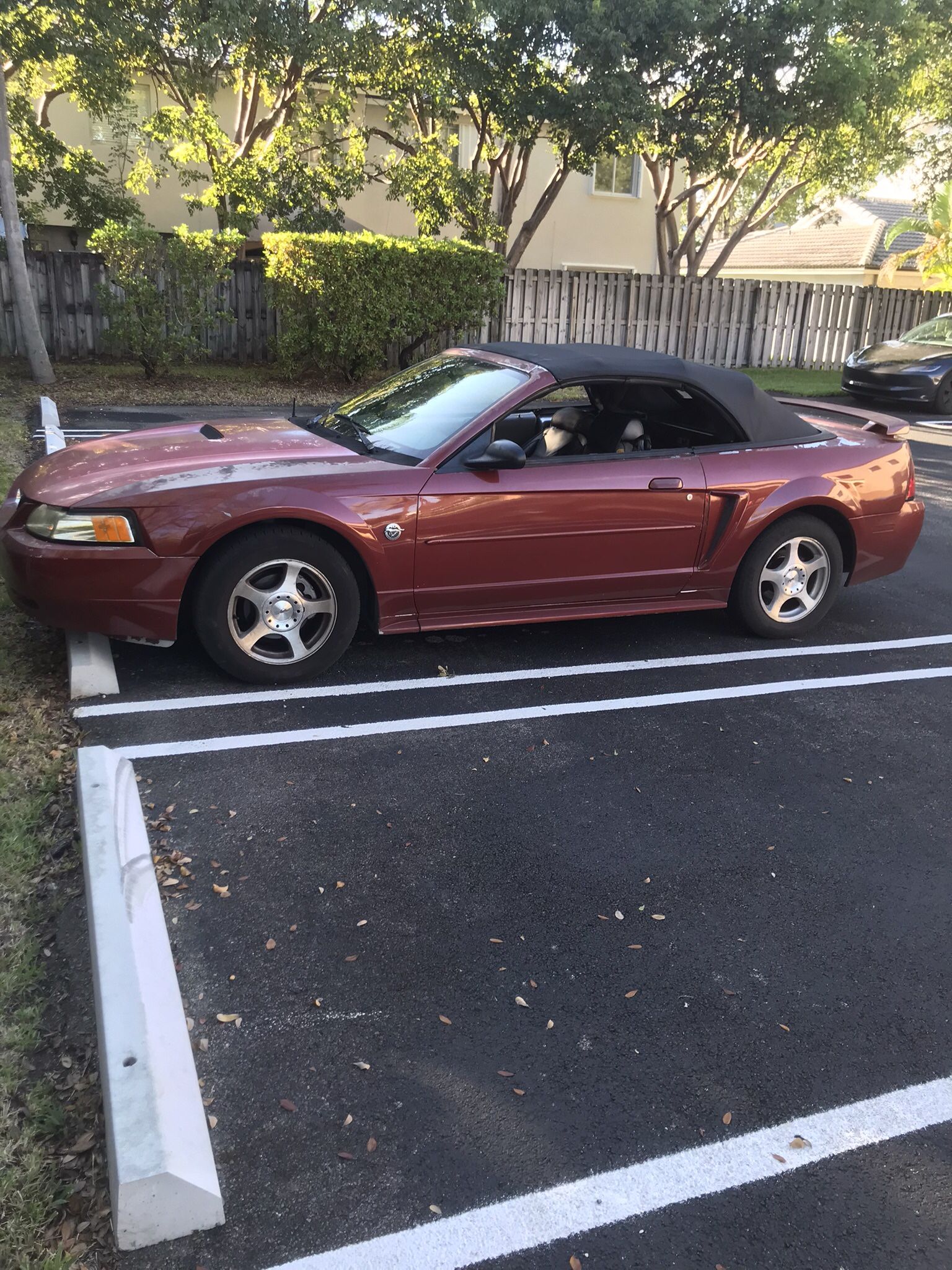 2004 Ford Mustang
