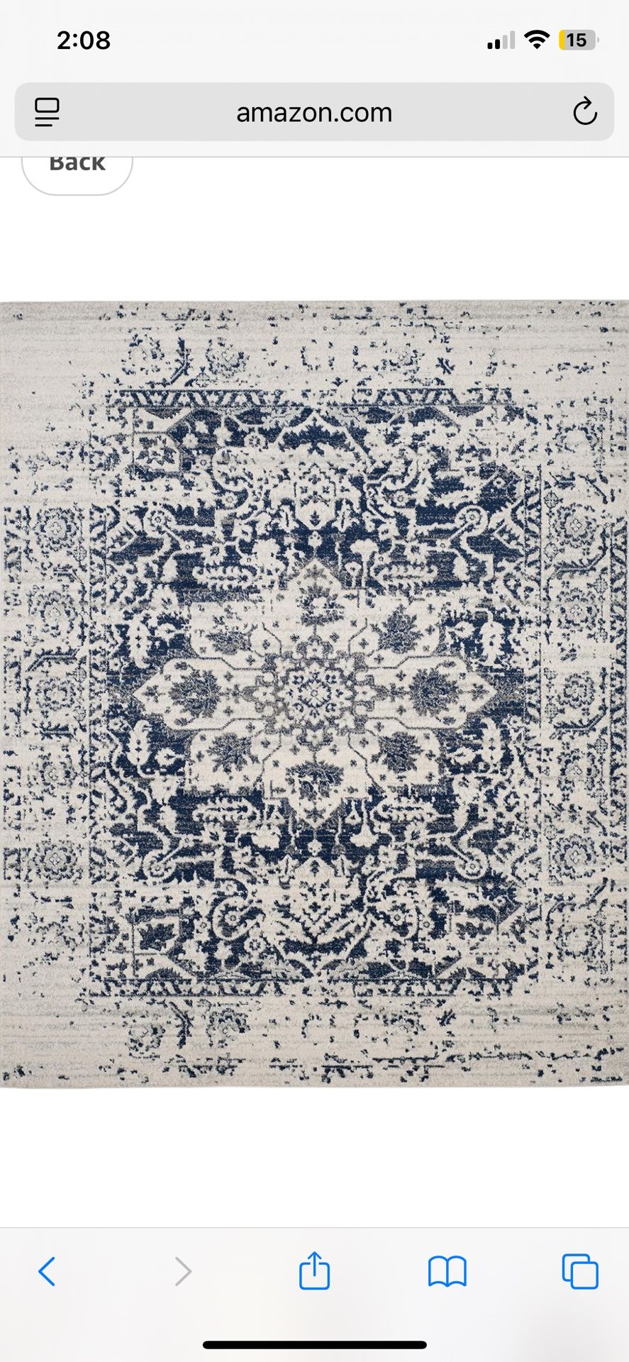 Area Rug 8X10