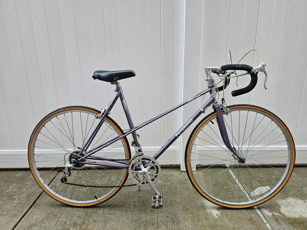 Women Panasonic Bicycle Vintage Steel