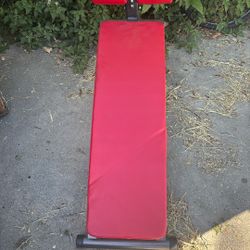 Bench Clinner 