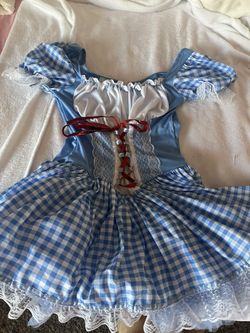Dorothy Costume Woman’s Size S