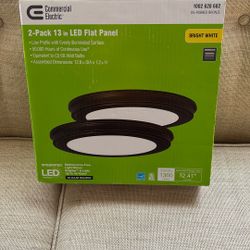 Ceiling Light-dimmable 