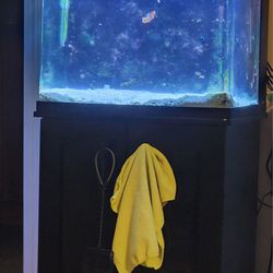 Coralife 32 Gal. Biocube Fish Tank