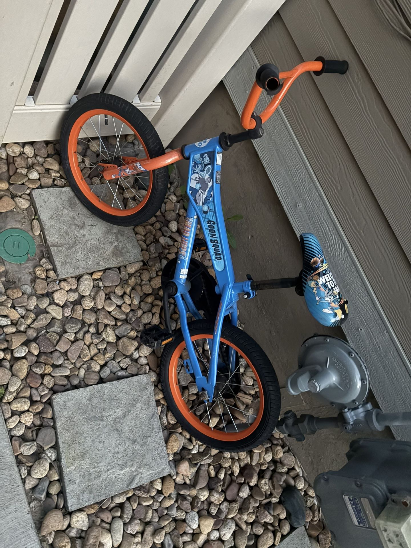 Youth Bicycle
