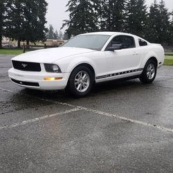 2008 Ford Mustang