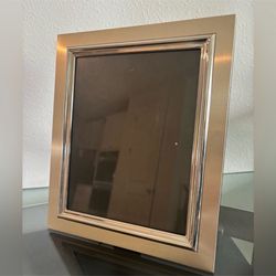 Champagne, silver, and stainless silver 8 x 10 frame