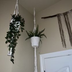 Hanging Plants And Wall Decor