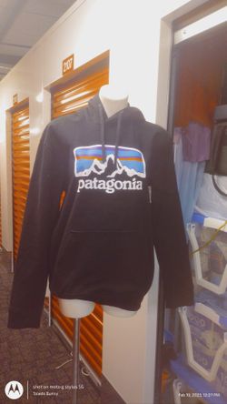 Patagonia hoodie 
